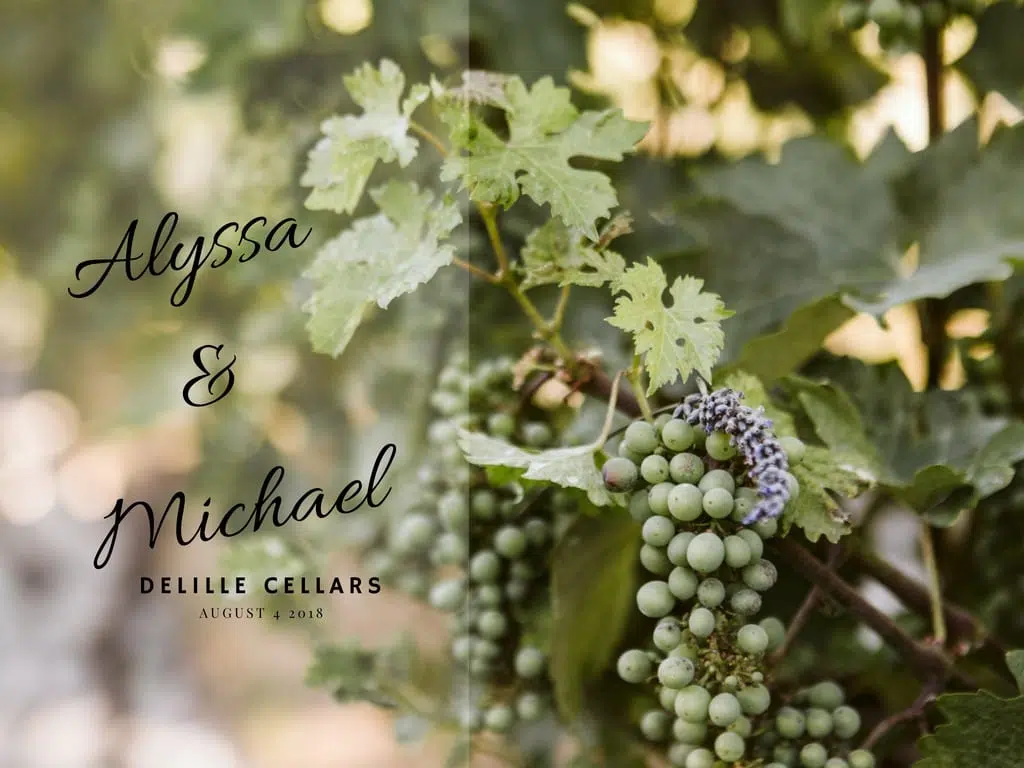 Clusters of green grapes with some purple ones hang on a vine in snohomish. Overlay text reads: Alyssa & Michael, Delille Cellars, August 4, 2018. The image has a soft, natural background. Snohomish Wedding Photography