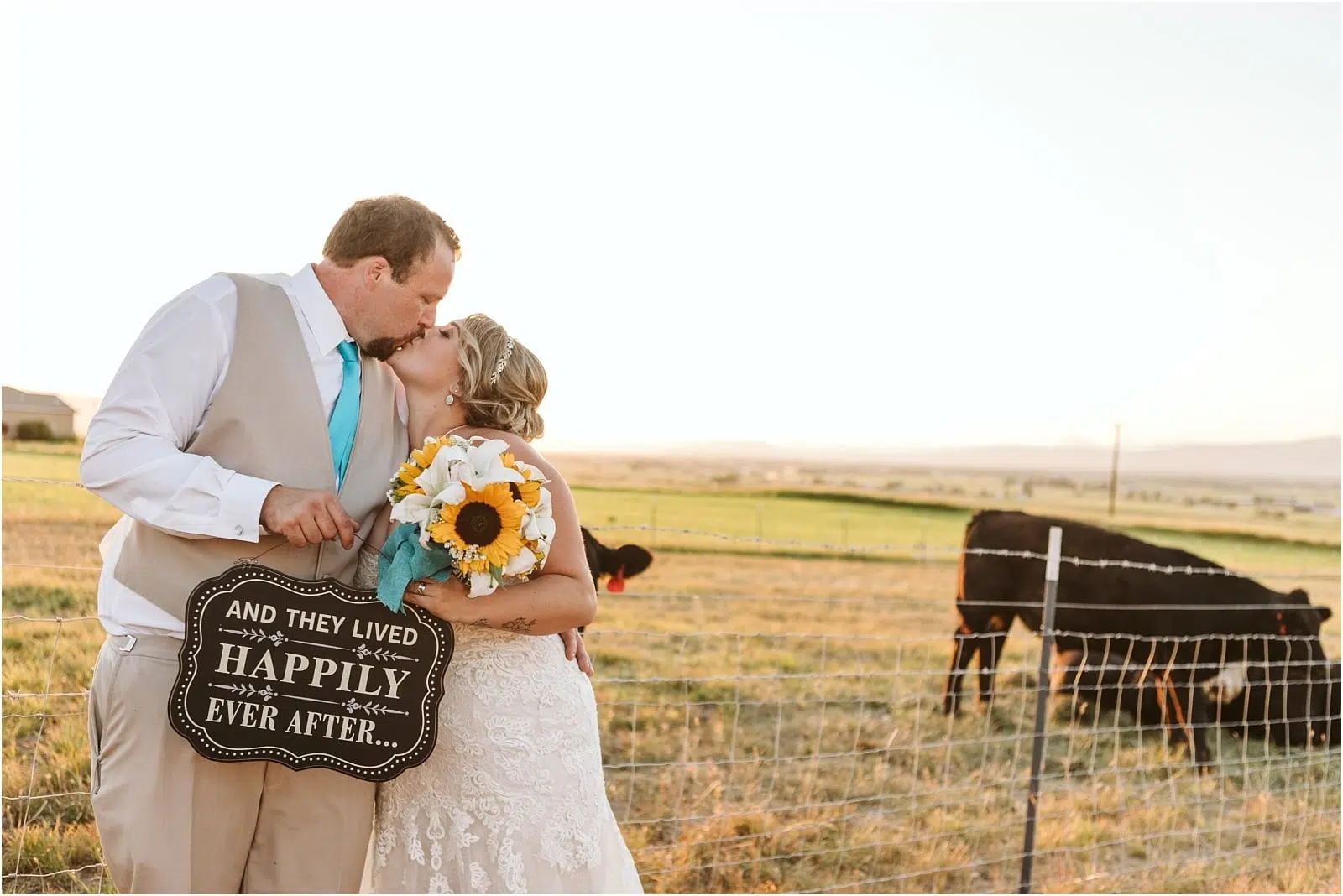 Premier Snohomish & Seattle Wedding Photographer | GSquared Weddings Photography A bride and groom kiss in a sunny Snohomish field by a wire fence, holding sunflowers and a sign reading And they lived happily ever after. Cows graze in the background—a perfect Seattle wedding engagement moment. 47.9129° N, 122.0982° W | Serving Snohomish, Seattle , Orlando & Beyond