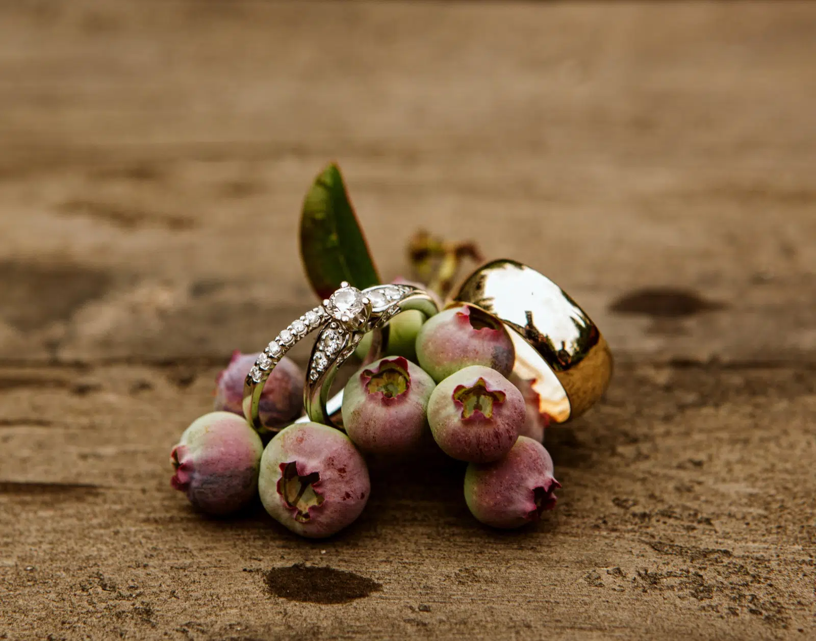 A cluster of unripe blueberries rests on a wooden surface in Snohomish, adorned with a sparkling diamond engagement ring and a gold wedding band. Snohomish Wedding Photography