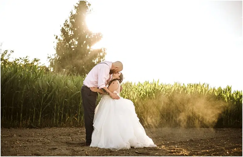Premier Snohomish & Seattle Wedding Photographer | GSquared Weddings Photography A bride and groom share a kiss in a field at sunset during their Snohomish wedding, with tall green corn stalks behind them and sunlight streaming through the trees, creating a warm, romantic atmosphere. 47.9129° N, 122.0982° W | Serving Snohomish, Seattle , Orlando & Beyond