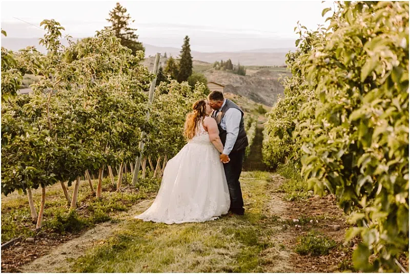 yakima vineyard wedding
