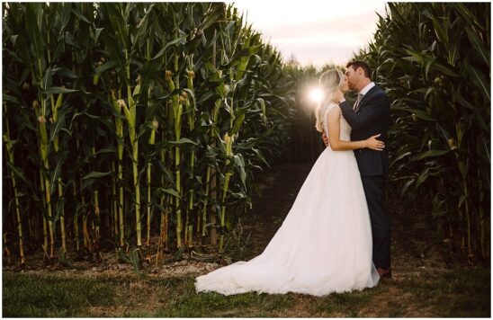 Carleton Farm Wedding in the cornstalks in the fall bride and groom