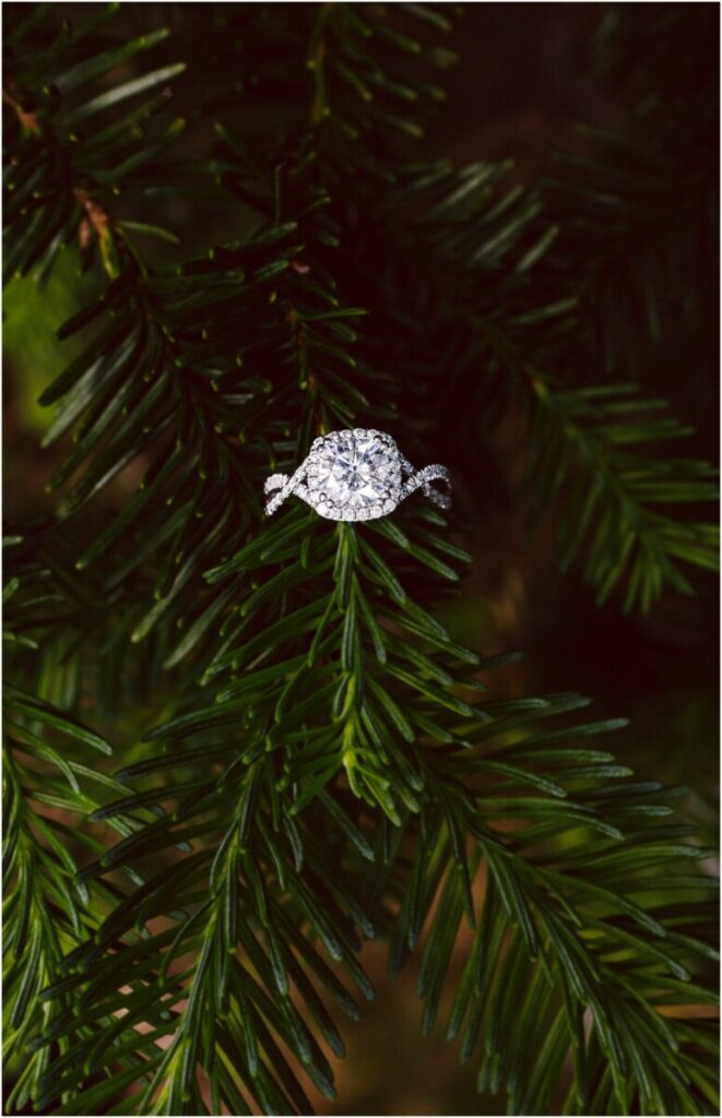 snohomish wedding photographer 7205 Seattle and Snohomish Wedding and Engagement Photography by GSquared Weddings Photography