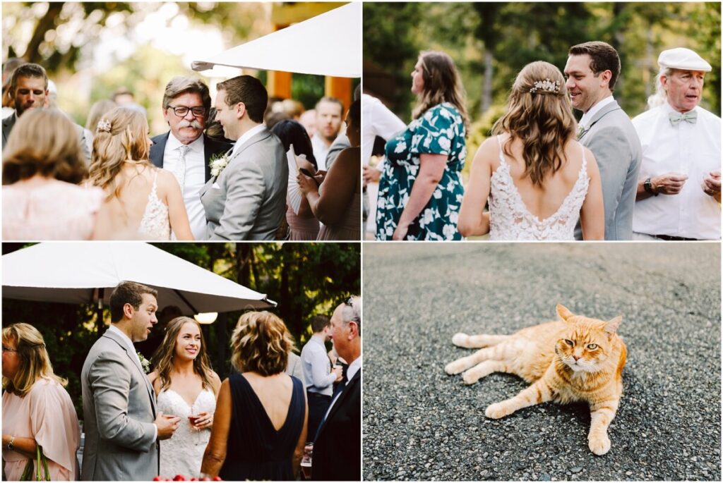 August Wedding at Gray Bridge