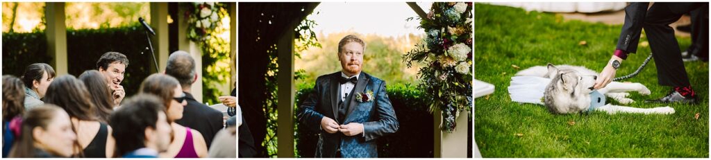 Snohomish Wedding Photographer GSquared Weddings Three-panel wedding scene: Guests chat in formal outfits, the groom in a blue suit stands under a floral arch, and a husky dressed in a tutu lies on the grass while someone adjusts its leash. Serving Seattle, Snohomish and Orlando