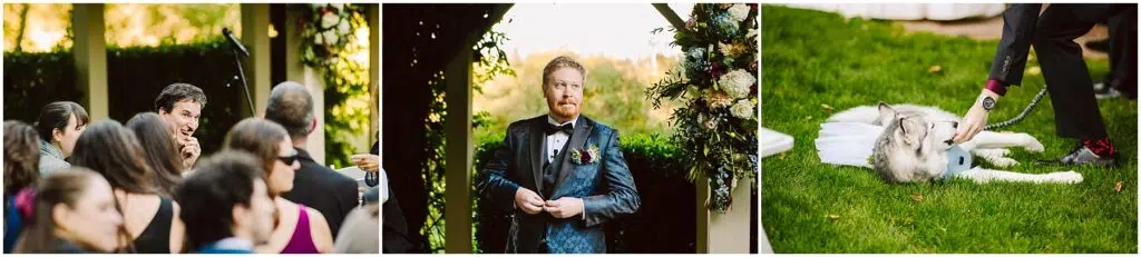 Snohomish Wedding Photographer GSquared Weddings Three-panel wedding scene: Guests chat in formal outfits, the groom in a blue suit stands under a floral arch, and a husky dressed in a tutu lies on the grass while someone adjusts its leash. Serving Seattle, Snohomish and Orlando
