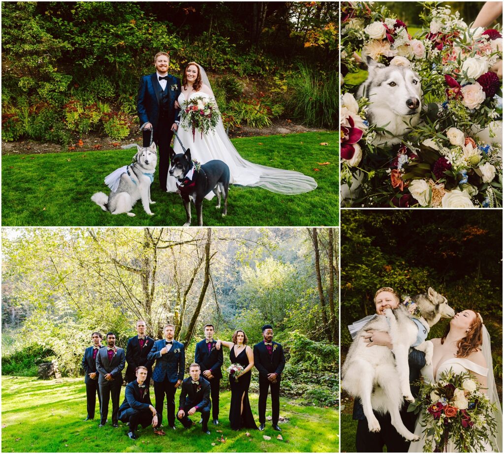 Snohomish Wedding Photographer GSquared Weddings A bride and groom pose with two dogs on grass. One dog wears a floral collar. A close-up shows a dog next to wedding flowers. The bridal party stands in the sunlit garden. The bride joyfully holds both dogs. Serving Seattle, Snohomish and Orlando