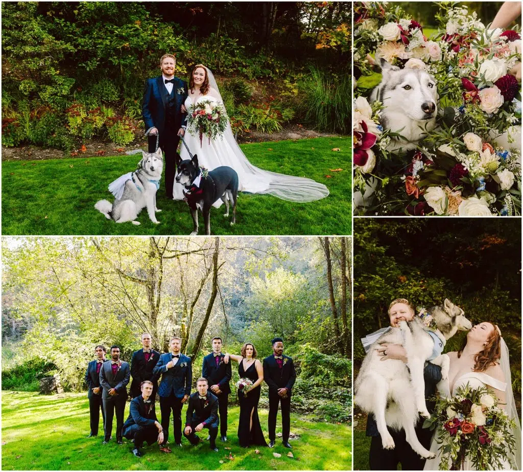 Snohomish Wedding Photographer GSquared Weddings A bride and groom pose with two dogs on grass. One dog wears a floral collar. A close-up shows a dog next to wedding flowers. The bridal party stands in the sunlit garden. The bride joyfully holds both dogs. Serving Seattle, Snohomish and Orlando