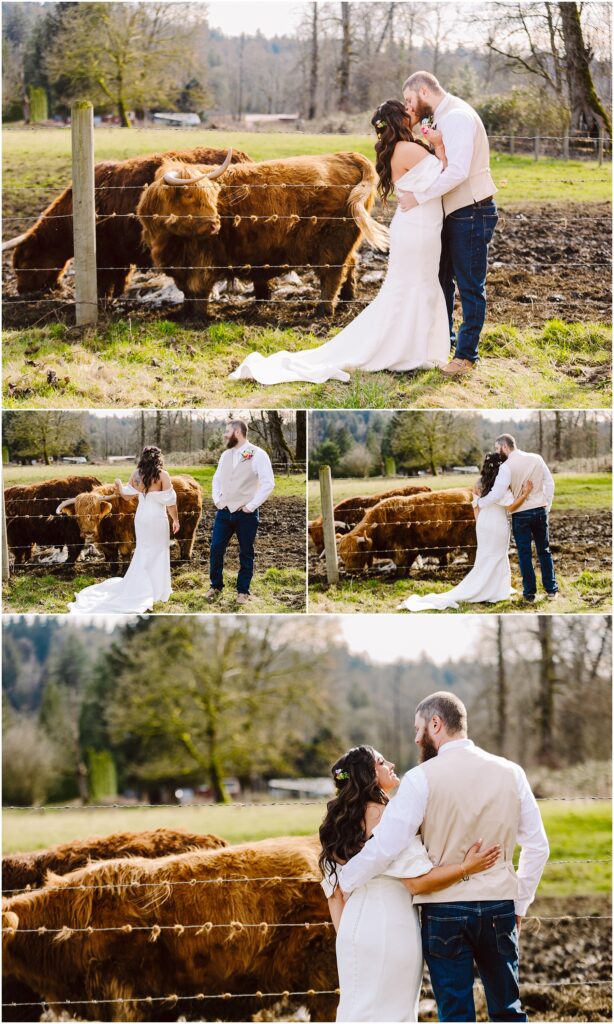 Snohomish Wedding Photographer GSquared Weddings In a charming rural setting reminiscent of Machias, a bride in a white dress and her groom in jeans and a vest share an embrace. With highland cows grazing peacefully beyond the fence, they laugh and kiss beneath the canopy of lush trees and greenery. Serving Seattle, Snohomish and Orlando