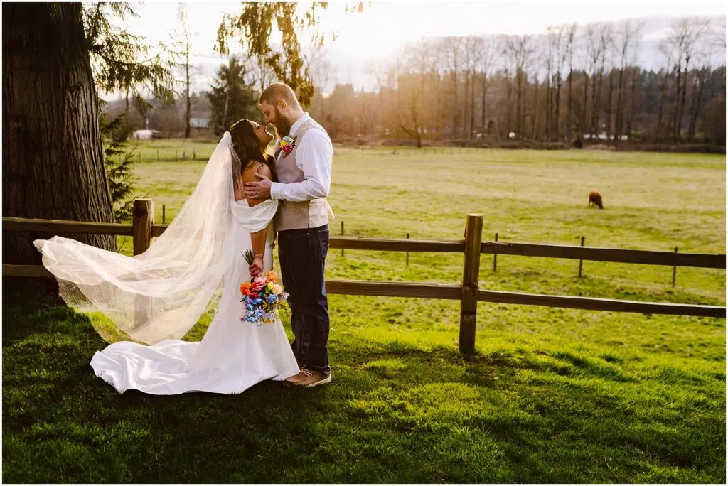 Snohomish Wedding Photographer GSquared Weddings A bride and groom embrace in a grassy field during a Machias sunset. The brides veil flows in the breeze as she holds a colorful bouquet. A wooden fence and trees frame the scene, with a cow grazing peacefully in the distance. Serving Seattle, Snohomish and Orlando