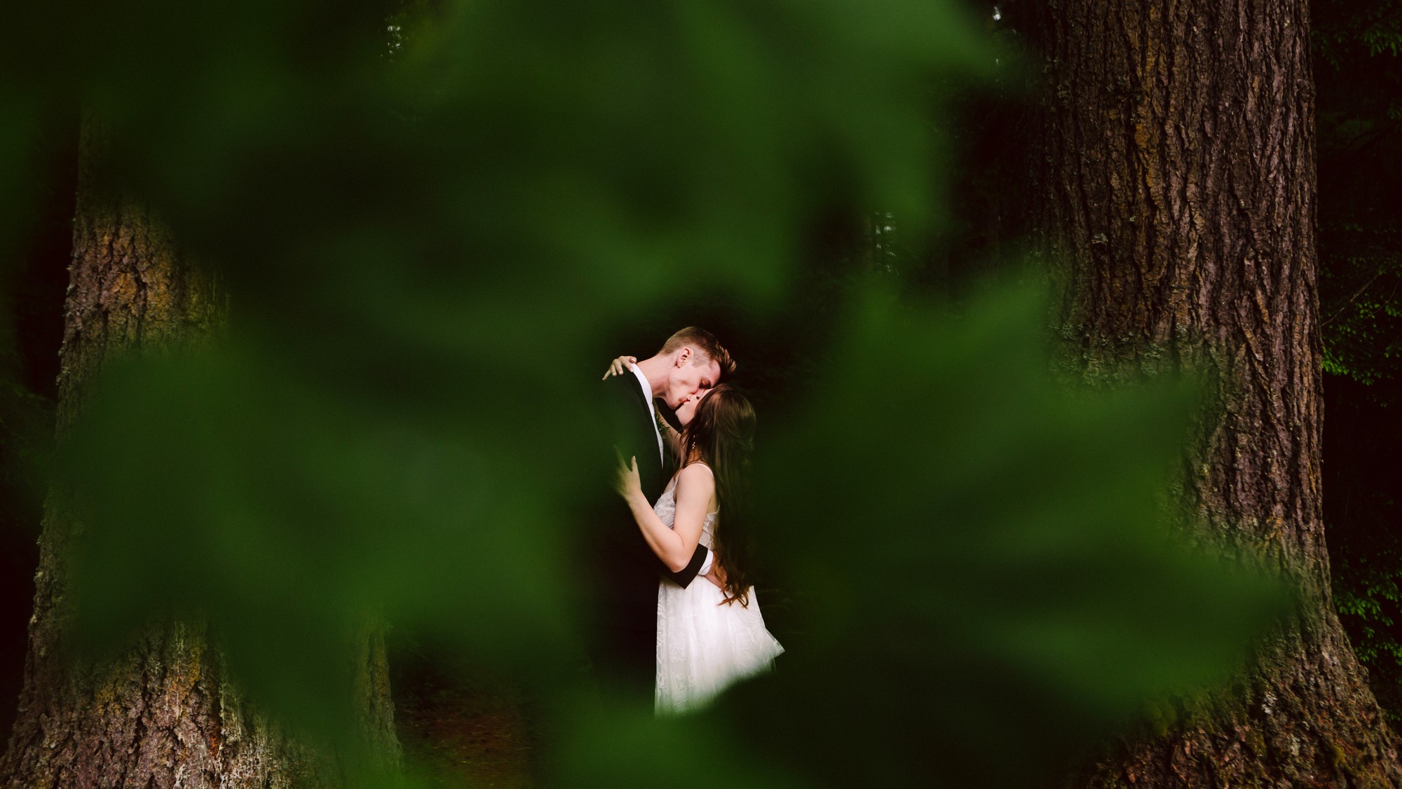 Snohomish Wedding Photographer GSquared Weddings A couple embraces and kisses in a forest, framed by large green leaves in the foreground, with tall tree trunks surrounding them. The scene feels intimate and romantic—like a perfect snapshot for Page Four of your Elementor portfolio. Serving Seattle, Snohomish and Orlando