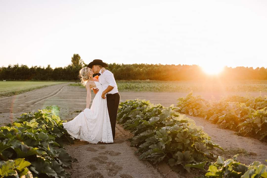 GSquared Weddings Photography A bride and groom share a kiss at sunset in a vegetable field. Captured by GSquared Weddings Photography, the groom’s cowboy hat and white shirt complement the bride’s gown amid green crops glowing in golden light. GSquared Weddings | 47.9129° N, 122.0982° W | Serving Snohomish, Seattle , Orlando & Beyond