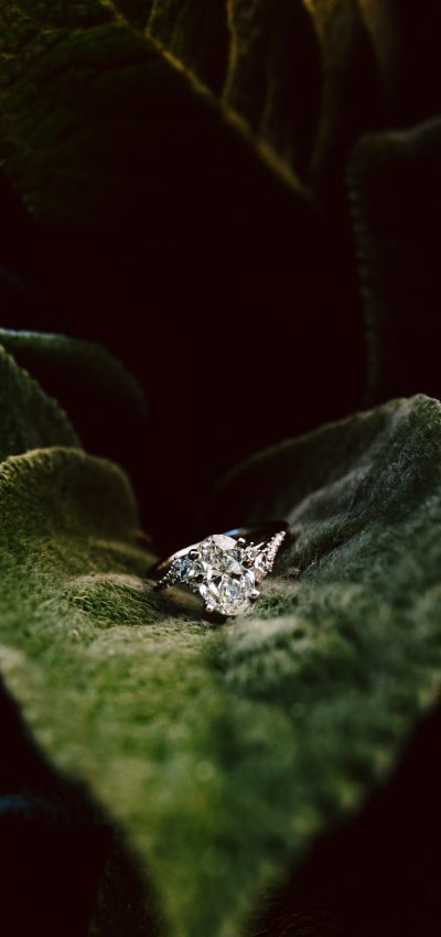 GSquared Weddings Photography A diamond ring rests on a large, velvety green leaf, surrounded by overlapping leaves—a natural and elegant display perfect for engagement photography. GSquared Weddings | 47.9129° N, 122.0982° W | Serving Snohomish, Seattle , Orlando & Beyond