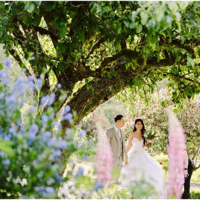 Snohomish Wedding Photographer GSquared Weddings A bride in a white wedding dress and a groom in a light-colored suit walk hand in hand under a large tree. They are surrounded by vibrant flowers and lush greenery, creating a romantic and picturesque garden setting. Serving Seattle, Snohomish and Orlando